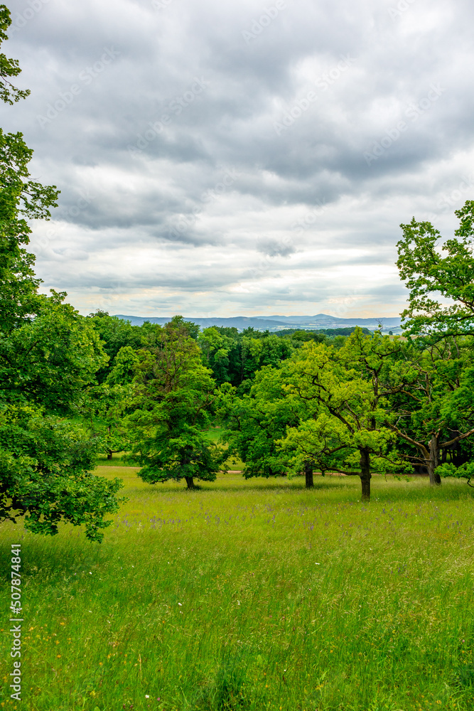 Sommerspaziergang im schönen Park in Altenstein bei Bad Liebenstein - Thüringen - Deutschland