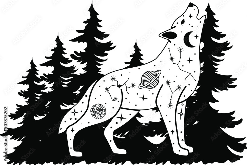Obraz premium Mystical wolf. Magic poster, Tattu style, Vector, Tarro, moon, celestial art. Mountains, spruce, dream catcher, wolf.