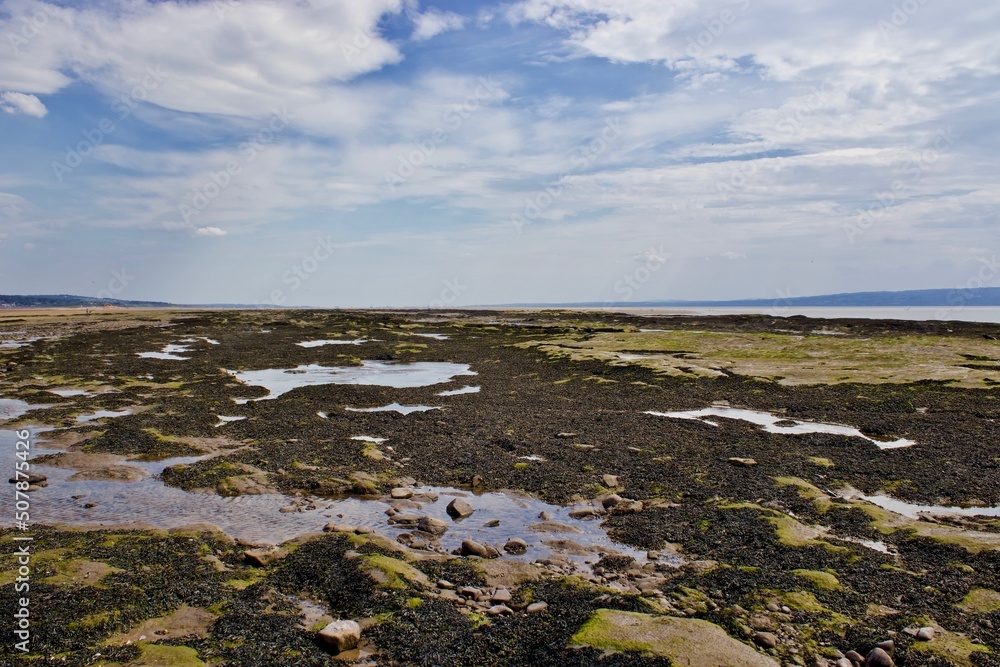 Seaweed covered beach shore and rock pools.