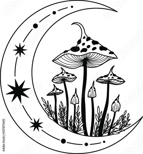 Mystical mushrooms. Vector mushrooms. Full moon, sun, stars, grass, eyes. Black silhouette of mushrooms. Tarro cards. Mystical print.