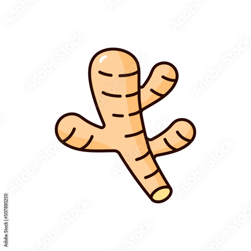 ginger turmeric icon illustration