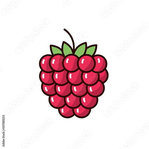 raspberry icon illustration