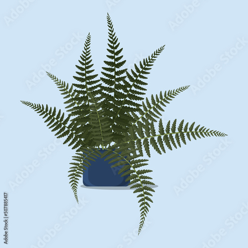 A fern, a home flower in a blue pot. Vector illustration