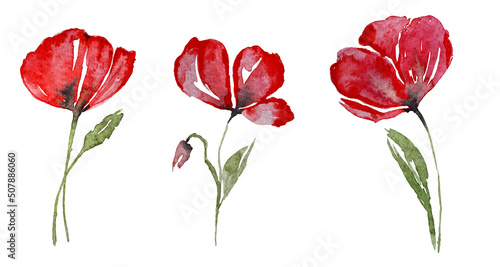 Set of watercolor design elements watercolor poppies  red poppies  leaves  branches  illustration isolated on white background.