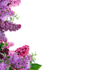 Tree branch flower Photo Overlays, Summer spring painted frame s, Photo art, png
