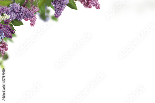 Fototapeta Naklejka Na Ścianę i Meble -  Tree branch flower Photo Overlays, Branch of lilac branches. Lilac flowers. Beautiful lilac. png