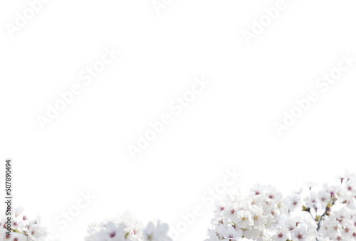 Tree branch flower Photo Overlays, Summer spring painted overlays, Photo art, png © Daria