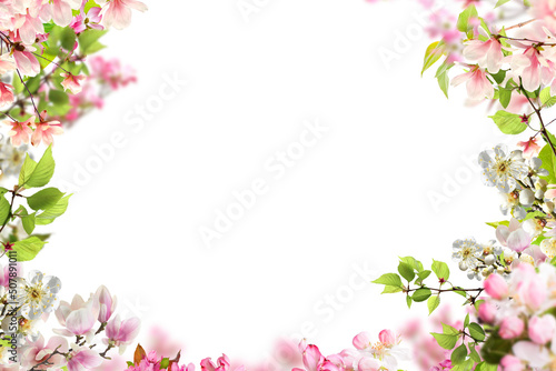 Tree branch flower Photo Overlays, Summer spring painted frame s, Photo art, png
