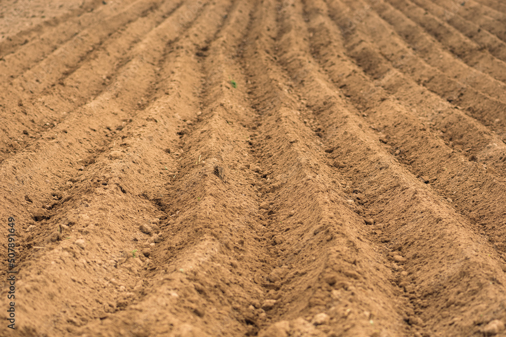 Lines in the plowed land of an agricultural field ready for planting or sowing in spring Lines in the plowed land of an agricultural field ready for planting or sowing in spring