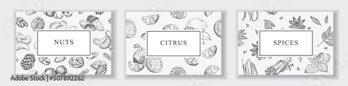 Cards Set with Hand Drawn Nuts, Citrus and Spices