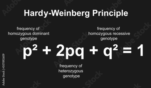 Hardy Weinberg Principle. Equation of Hardy Weinberg. Colorful Symboles. Vector Illustration.