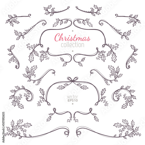 Christmas collection of nature elements with branches and leaves