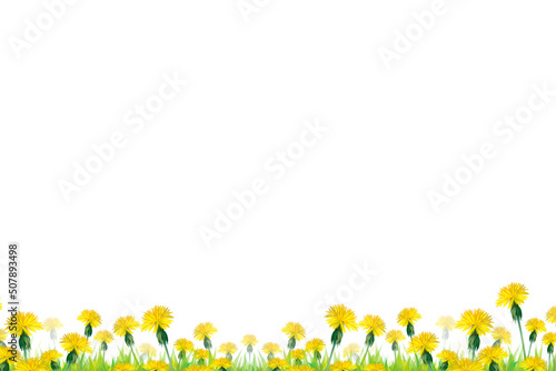 Flower grass petals Photo Overlays, Photoshop Overlays, Summer frame s, Golden Fields, png