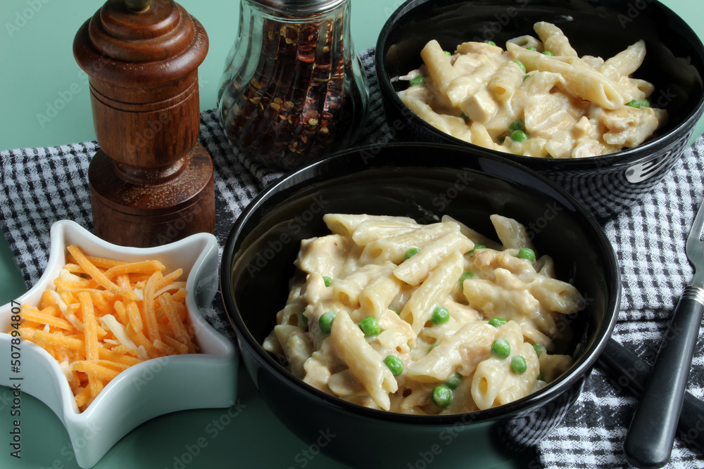 Turkey Tetrazzini: turkey chunks and penne pasta in a creamy sauce. Turkey Tetrazzini: turkey chunks and penne pasta in a creamy sauce.