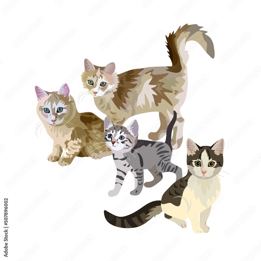 Cat family of four cats isolated on white background in vector. Cute realistic illustration.