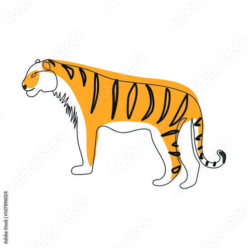 Tiger continuous one line art drawing. Vector color illustration on white background.