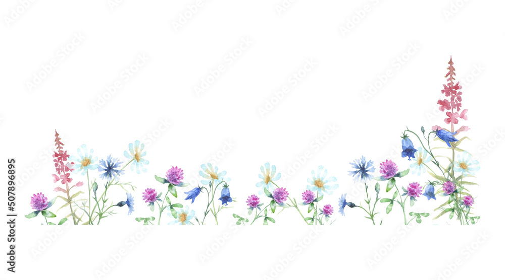 Watercolor frame of Chamomile, Bluebell Flower, pink fireweed, Cornflower, Red Clover isolated on a white background. Watercolor frame of Chamomile, Bluebell Flower, pink fireweed, Cornflower, Red Clover isolated on a white background.