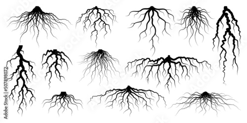 Print op canvas Various realistic tree or shrub roots