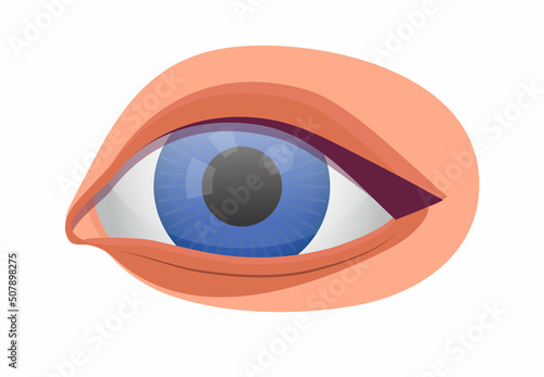 Human eye icon vector for medical app, web, blog. Check your eyesight illustration. Optometrist, ophthalmology problem and disease.