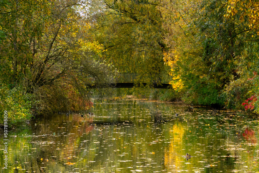Park w pobliżu Hanower, Niemcy. Kolory jesieni.