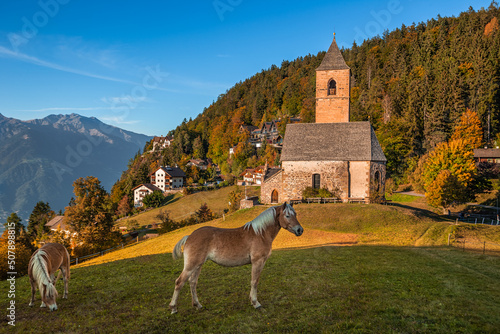 Hafling, Italy - Italian horses and the mountain church of St. Catherine (Chiesa di Santa Caterina) near Hafling - Avelengo on an autumn afternoon with Italian Dolomites in South Tyrol at background photo