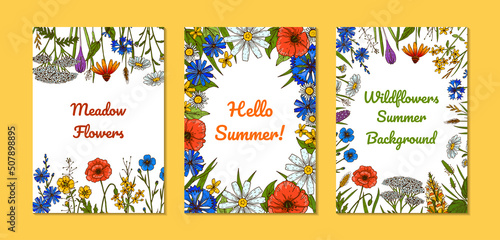 Set of wildflowers botany designs. Colorful hand drawn vector illustration. Summer background