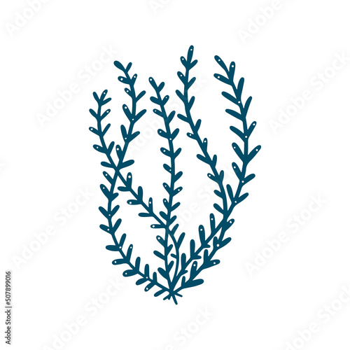 Marine plant, coral, seaweed. Underwater reef plant. Vector in cartoon style.