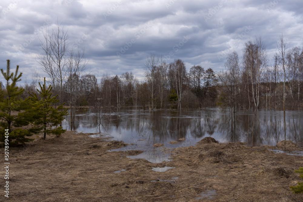Dry grass in the foreground. The river overflowed its banks. Cloudy spring evening, flood.