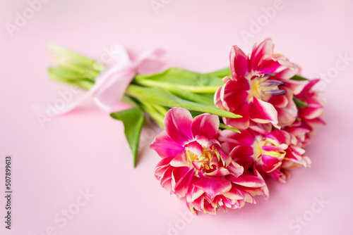 Very beautiful spring bouquet of peony tulips on a pink paper background, closeup. Place for an inscription.