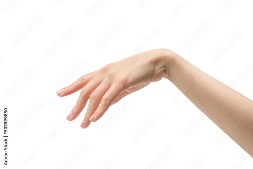 Woman hand isolated on a white background.
