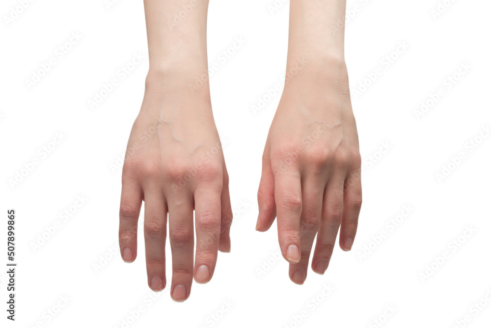 Woman hand isolated on a white background.