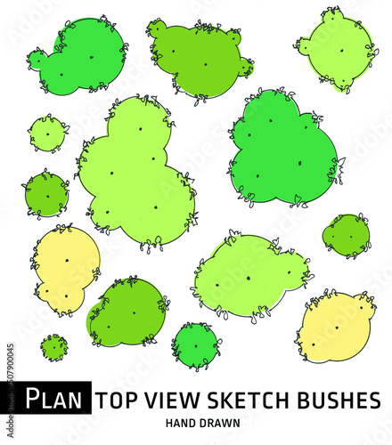 Plan sketch shrub trees nd bushes symbols hands draw.  Garden plants top view. Landscape design and architecture symbols or scheme of tree shrub bush