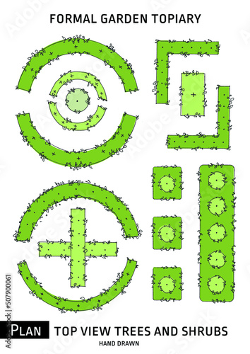 Plan sketch shrub trees nd bushes symbols hands draw.  Garden plants top view. Landscape design and architecture symbols or scheme of tree shrub bush