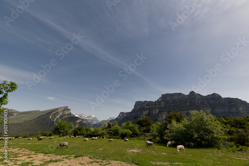 Vió, viewpoint to the Añisclo Canyon and Monte Perdido