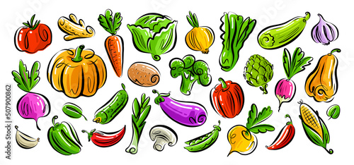 Vegetarian organic healthy food set. Farm vegetables collection. Vegan concept. Color vector illustration