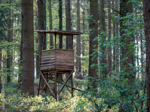Hoch und Jägersitz im Wald © focus finder