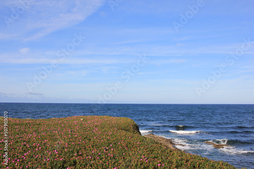 Fototapeta Naklejka Na Ścianę i Meble -  coast of the atlantic ocean