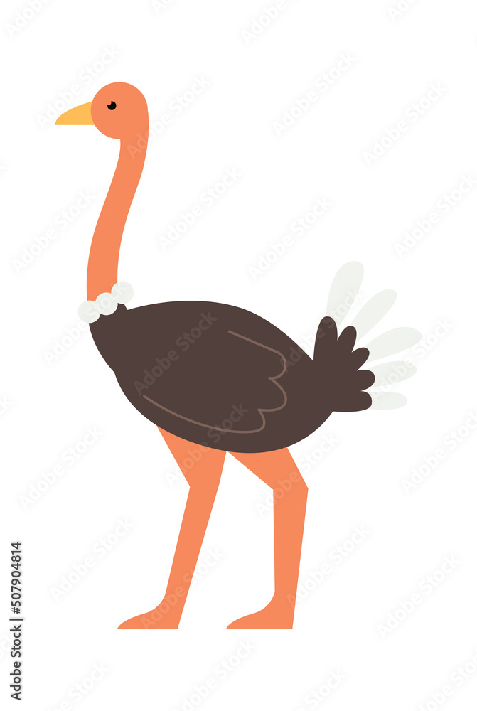 Fototapeta premium Ostrich African animal. Vector illustration