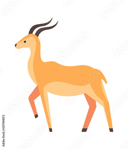 Roe African animal. Vector illustration