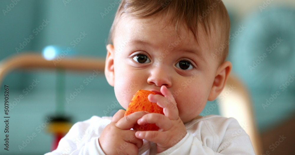 Baby face eating healthy snack fruit, infant child eats piece of apple fruit Baby face eating healthy snack fruit, infant child eats piece of apple fruit