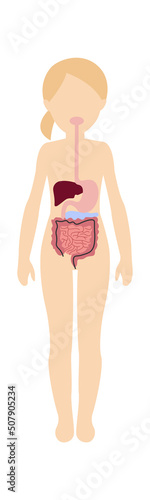 Girl digestive system anatomy. Vector illustration