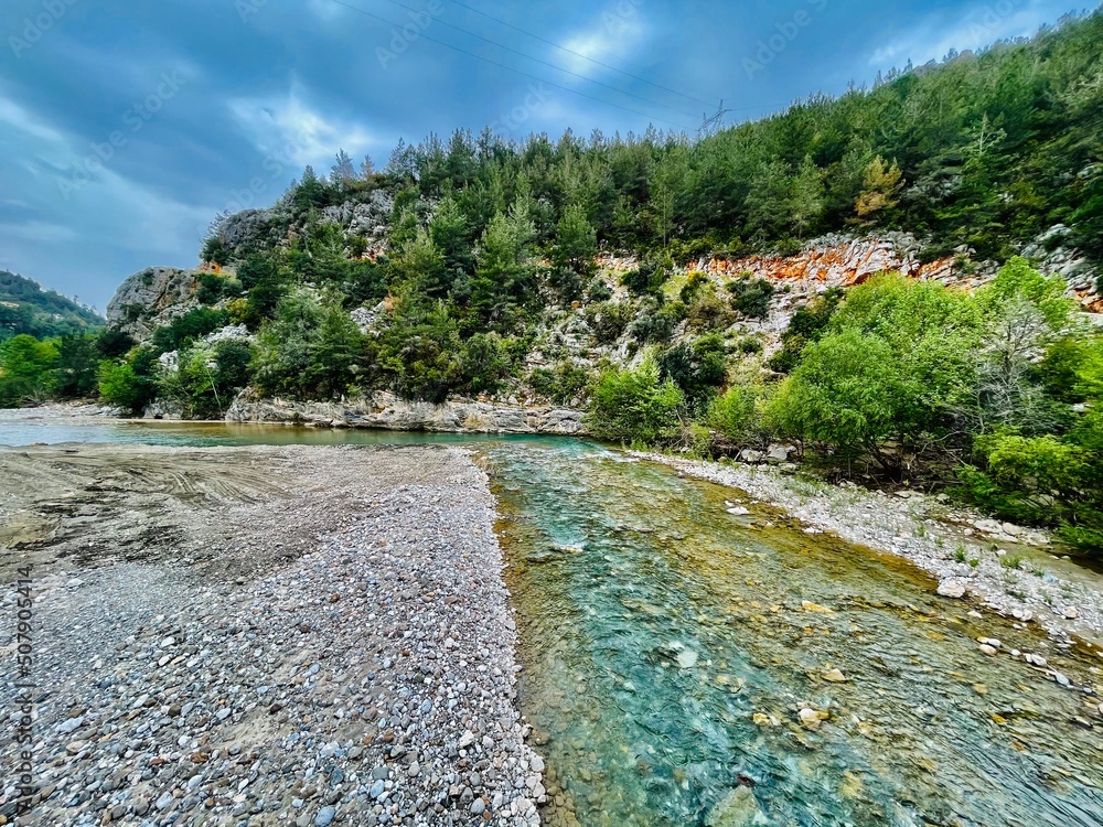 river in the forest