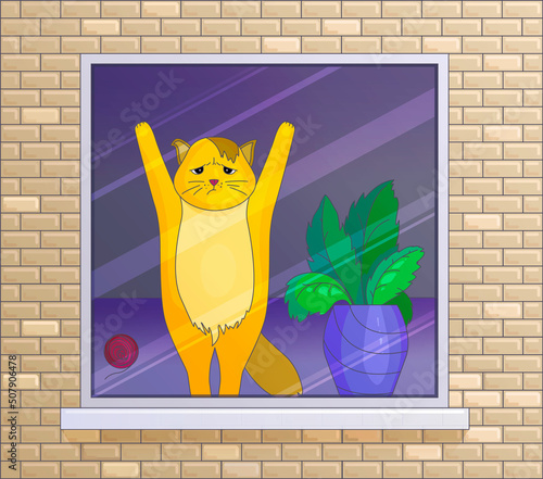 Orange cat standing by window waiting. Pet looking out window