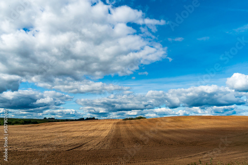 A plowed field against the sky. The season of planting crops in a wheat field. Preparing the field for planting rapeseed  wheat  rye and barley in rural areas.