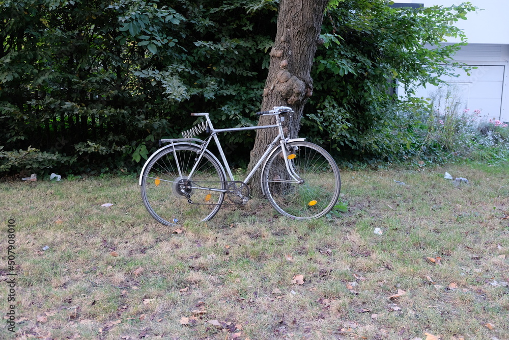 FU 2020-09-19 Schule 82 Am Baum ist ein Fahrrad angelehnt