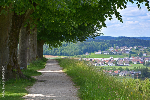 Zofingen, Kanton Aargau, die Arkaden der Markthalle photo