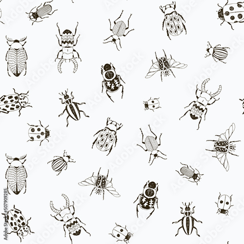 Beetles insects vector seamless pattern