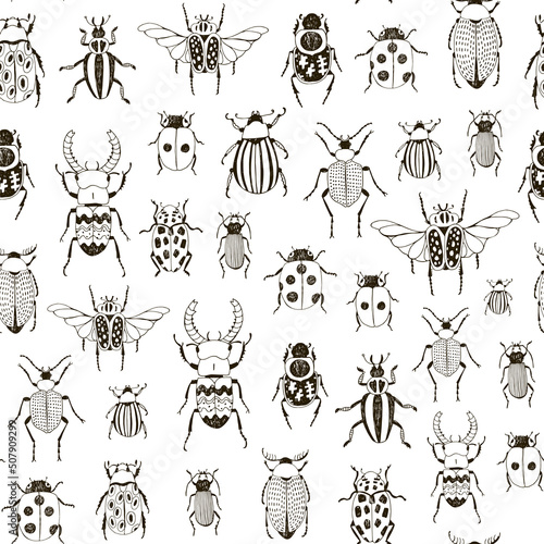 Beetles insects vector seamless pattern