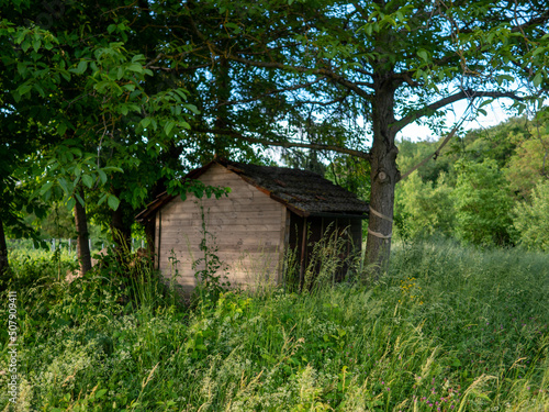 Versteckte alte Hütte im Wald
