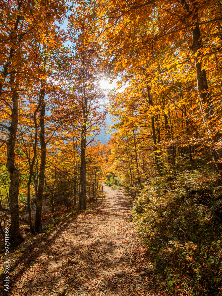 Beautiful autumn day in the Vrata valley in the Julian Alps mountains